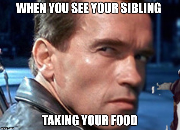 Don't touch my food | WHEN YOU SEE YOUR SIBLING TAKING YOUR FOOD | image tagged in don't touch my food | made w/ Imgflip meme maker