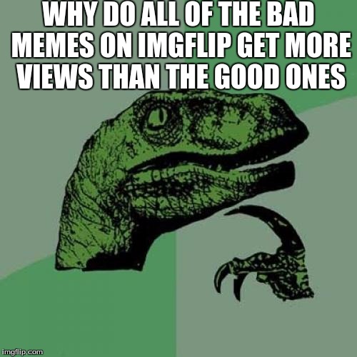 Philosoraptor Meme | WHY DO ALL OF THE BAD MEMES ON IMGFLIP GET MORE VIEWS THAN THE GOOD ONES | image tagged in memes,philosoraptor | made w/ Imgflip meme maker