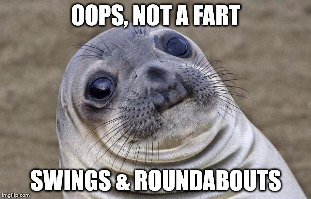 Awkward Moment Sealion Meme | OOPS, NOT A FART SWINGS & ROUNDABOUTS | image tagged in memes,awkward moment sealion | made w/ Imgflip meme maker