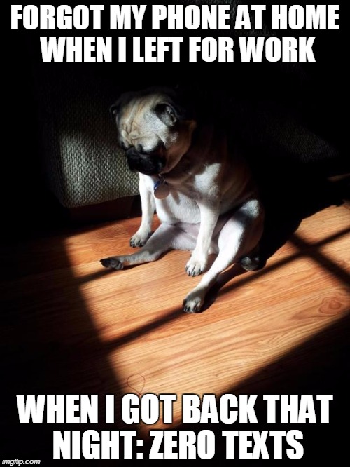 Could have been "forever alone" guy | FORGOT MY PHONE AT HOME WHEN I LEFT FOR WORK WHEN I GOT BACK THAT NIGHT: ZERO TEXTS | image tagged in depressed pug | made w/ Imgflip meme maker
