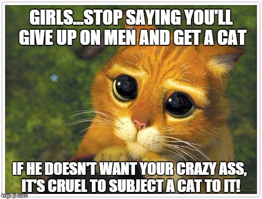Shrek Cat Meme | GIRLS...STOP SAYING YOU'LL GIVE UP ON MEN AND GET A CAT IF HE DOESN'T WANT YOUR CRAZY ASS, IT'S CRUEL TO SUBJECT A CAT TO IT! | image tagged in memes,shrek cat | made w/ Imgflip meme maker