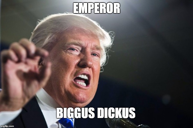 donald trump | EMPEROR BIGGUS DICKUS | image tagged in donald trump | made w/ Imgflip meme maker