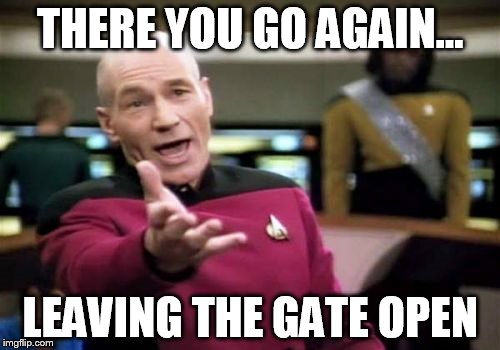 Picard Wtf Meme | THERE YOU GO AGAIN... LEAVING THE GATE OPEN | image tagged in memes,picard wtf | made w/ Imgflip meme maker