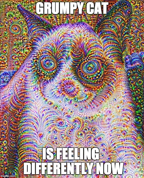 Trippy Cat | GRUMPY CAT IS FEELING  DIFFERENTLY NOW | image tagged in trippy cat | made w/ Imgflip meme maker