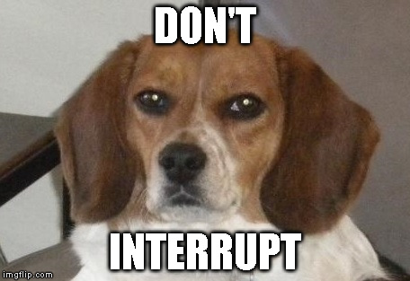 DON'T INTERRUPT | image tagged in cute,funny,beagle | made w/ Imgflip meme maker