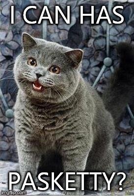 I can has cheezburger cat | I CAN HAS PASKETTY? | image tagged in i can has cheezburger cat | made w/ Imgflip meme maker