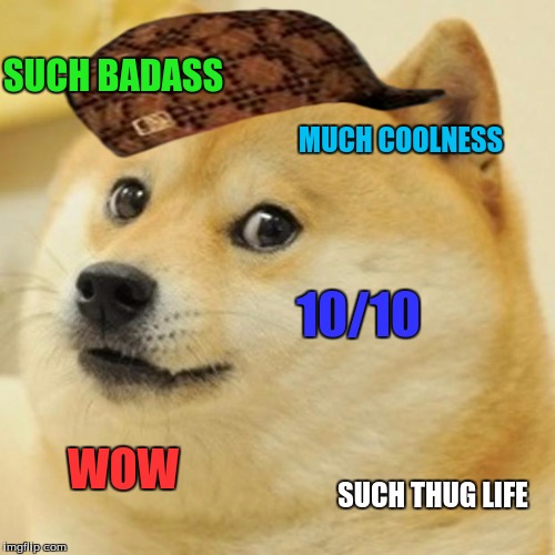 Doge Meme | SUCH BADASS MUCH COOLNESS 10/10 WOW SUCH THUG LIFE | image tagged in memes,doge,scumbag | made w/ Imgflip meme maker