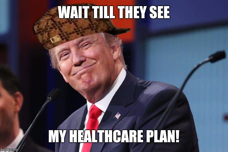 Donald Trump | WAIT TILL THEY SEE MY HEALTHCARE PLAN! | image tagged in donald trump,scumbag | made w/ Imgflip meme maker