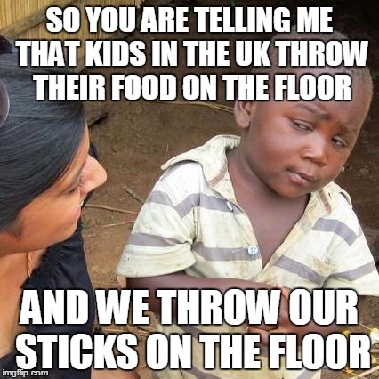 Third World Skeptical Kid Meme | SO YOU ARE TELLING ME THAT KIDS IN THE UK THROW THEIR FOOD ON THE FLOOR AND WE THROW OUR STICKS ON THE FLOOR | image tagged in memes,third world skeptical kid | made w/ Imgflip meme maker
