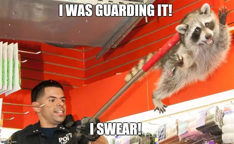 I WAS GUARDING IT! I SWEAR! | made w/ Imgflip meme maker