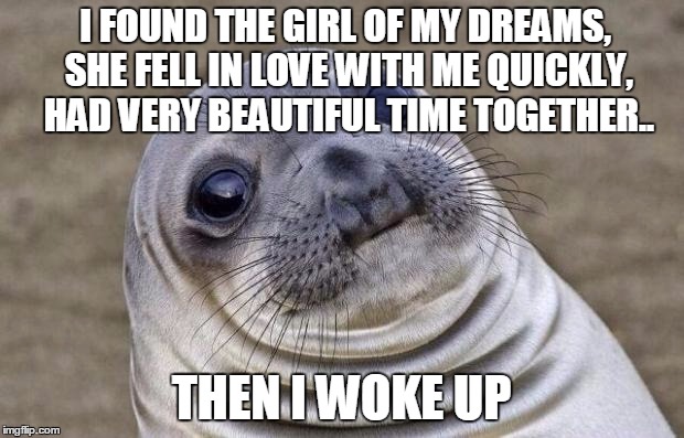 Awkward Moment Sealion | I FOUND THE GIRL OF MY DREAMS, SHE FELL IN LOVE WITH ME QUICKLY, HAD VERY BEAUTIFUL TIME TOGETHER.. THEN I WOKE UP | image tagged in memes,awkward moment sealion | made w/ Imgflip meme maker