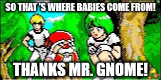 Thanks, Mister Gnome! | SO THAT
'S WHERE BABIES COME FR0M! THANKS MR. GNOME! | image tagged in thanks mister gnome,gnome,phantasy star,memes,anime,birds and bees | made w/ Imgflip meme maker