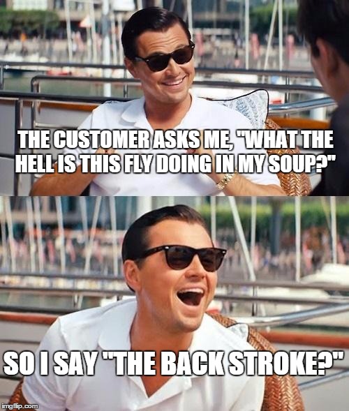 Leonardo Dicaprio Wolf Of Wall Street Meme | THE CUSTOMER ASKS ME, "WHAT THE HELL IS THIS FLY DOING IN MY SOUP?" SO I SAY "THE BACK STROKE?" | image tagged in memes,leonardo dicaprio wolf of wall street | made w/ Imgflip meme maker