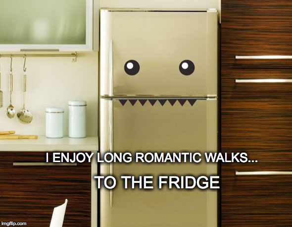 He's soo cool | I ENJOY LONG ROMANTIC WALKS... TO THE FRIDGE | image tagged in long romantic walks,fridge | made w/ Imgflip meme maker