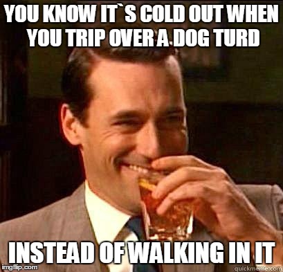 Laughing Don Draper | YOU KNOW IT`S COLD OUT WHEN YOU TRIP OVER A DOG TURD INSTEAD OF WALKING IN IT | image tagged in laughing don draper | made w/ Imgflip meme maker