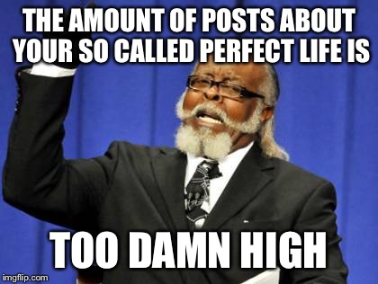 Too Damn High | THE AMOUNT OF POSTS ABOUT YOUR SO CALLED PERFECT LIFE IS TOO DAMN HIGH | image tagged in memes,too damn high | made w/ Imgflip meme maker