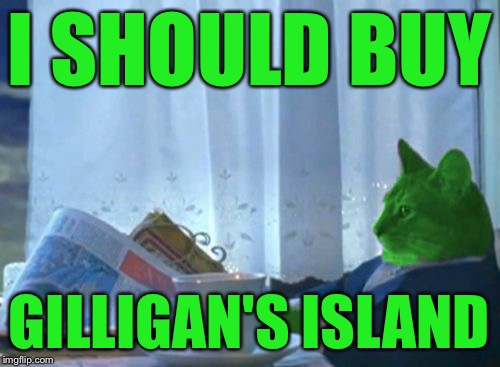 I Should Buy a Boat RayCat | I SHOULD BUY GILLIGAN'S ISLAND | image tagged in i should buy a boat raycat | made w/ Imgflip meme maker