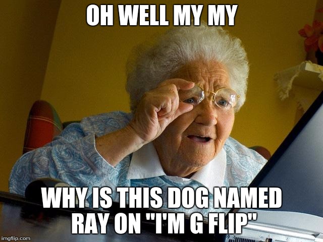 Grandma Finds The Internet Meme | OH WELL MY MY WHY IS THIS DOG NAMED RAY ON "I'M G FLIP" | image tagged in memes,grandma finds the internet | made w/ Imgflip meme maker