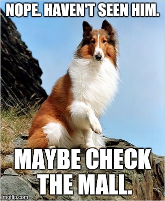 NOPE. HAVEN'T SEEN HIM. MAYBE CHECK THE MALL. | made w/ Imgflip meme maker