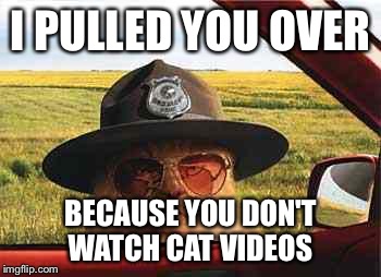 avo2484catsheriff | I PULLED YOU OVER BECAUSE YOU DON'T WATCH CAT VIDEOS | image tagged in avo2484catsheriff | made w/ Imgflip meme maker