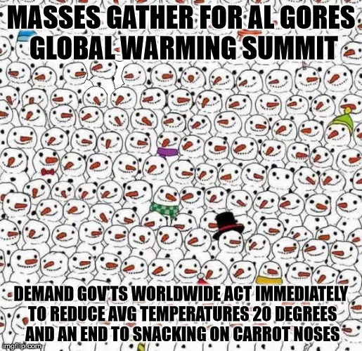 snowmen protesters | MASSES GATHER FOR AL GORES GLOBAL WARMING SUMMIT DEMAND GOV'TS WORLDWIDE ACT IMMEDIATELY TO REDUCE AVG TEMPERATURES 20 DEGREES AND AN END TO | image tagged in al gore is an idiot,carbon tax sucks,libtards should hang selves | made w/ Imgflip meme maker