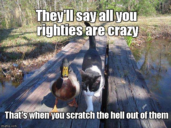 If they're gonna say you're crazy... | They'll say all you righties are crazy That's when you scratch the hell out of them | image tagged in advice mallard to cat,memes | made w/ Imgflip meme maker