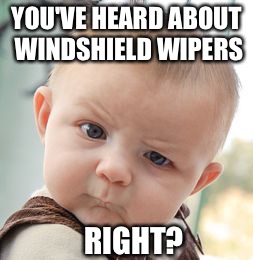 Skeptical Baby Meme | YOU'VE HEARD ABOUT WINDSHIELD WIPERS RIGHT? | image tagged in memes,skeptical baby | made w/ Imgflip meme maker