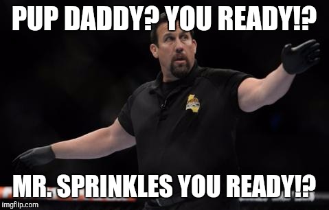 PUP DADDY? YOU READY!? MR. SPRINKLES YOU READY!? | made w/ Imgflip meme maker