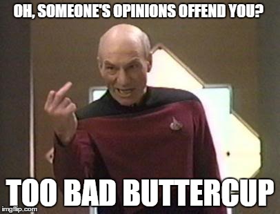 Angry Picard | OH, SOMEONE'S OPINIONS OFFEND YOU? TOO BAD BUTTERCUP | image tagged in angry picard,star trek,memes,captain picard,funny memes | made w/ Imgflip meme maker