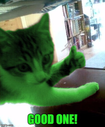 thumbs up RayCat | GOOD ONE! | image tagged in thumbs up raycat | made w/ Imgflip meme maker