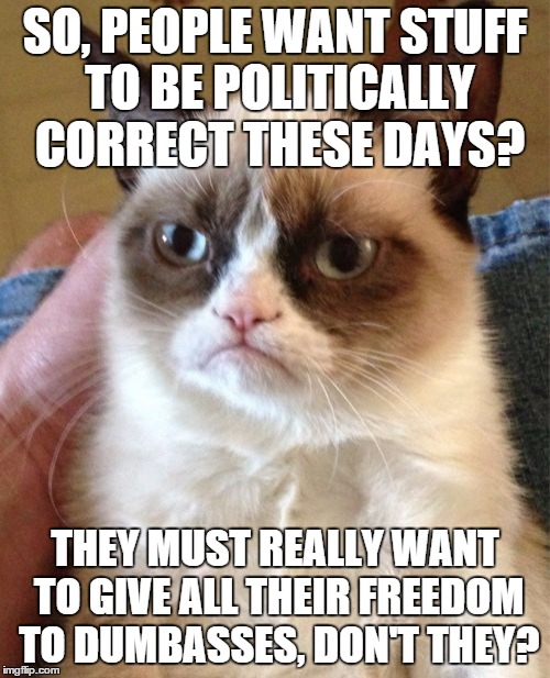Grumpy Cat | SO, PEOPLE WANT STUFF TO BE POLITICALLY CORRECT THESE DAYS? THEY MUST REALLY WANT TO GIVE ALL THEIR FREEDOM TO DUMBASSES, DON'T THEY? | image tagged in memes,grumpy cat | made w/ Imgflip meme maker