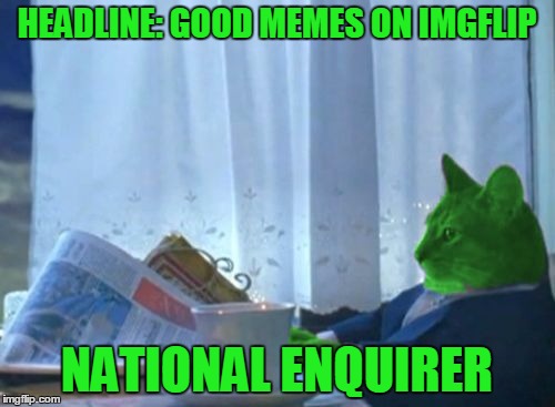 I Should Buy a Boat RayCat | HEADLINE: GOOD MEMES ON IMGFLIP NATIONAL ENQUIRER | image tagged in i should buy a boat raycat | made w/ Imgflip meme maker