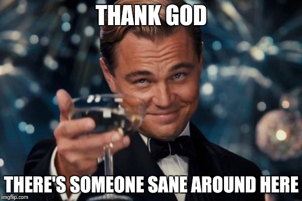 Leonardo Dicaprio Cheers Meme | THANK GOD THERE'S SOMEONE SANE AROUND HERE | image tagged in memes,leonardo dicaprio cheers | made w/ Imgflip meme maker