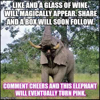 elephant | LIKE AND A GLASS OF WINE WILL MAGICALLY APPEAR. SHARE AND A BOX WILL SOON FOLLOW. COMMENT CHEERS AND THIS ELEPHANT WILL EVENTUALLY TURN PINK | image tagged in elephant | made w/ Imgflip meme maker