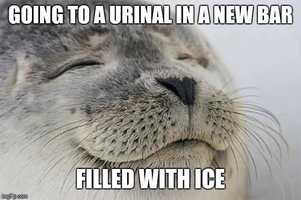 Satisfied Seal Meme | GOING TO A URINAL IN A NEW BAR FILLED WITH ICE | image tagged in memes,satisfied seal | made w/ Imgflip meme maker