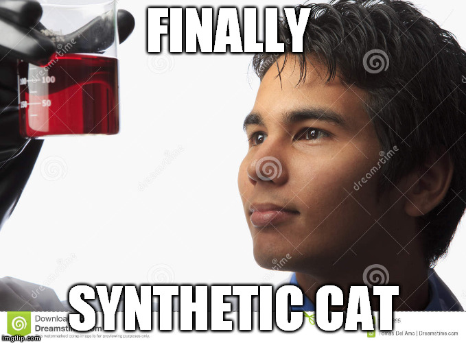 asian with beaker | FINALLY SYNTHETIC CAT | image tagged in asian with beaker | made w/ Imgflip meme maker