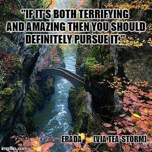 Pursue | "IF IT’S BOTH TERRIFYING AND AMAZING THEN YOU SHOULD DEFINITELY PURSUE IT." ERADA        (VIA TEA-STORM) | image tagged in inspirational | made w/ Imgflip meme maker