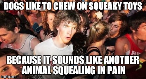 Sudden Clarity Clarence | DOGS LIKE TO CHEW ON SQUEAKY TOYS BECAUSE IT SOUNDS LIKE ANOTHER ANIMAL SQUEALING IN PAIN | image tagged in memes,sudden clarity clarence,AdviceAnimals | made w/ Imgflip meme maker