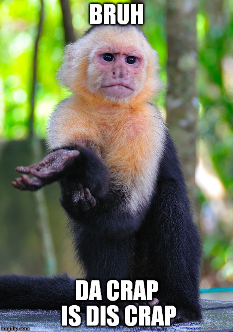 Wut Monkey | BRUH DA CRAP IS DIS CRAP | image tagged in memes,monkeys,funny,wut monkey | made w/ Imgflip meme maker