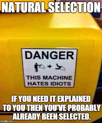 NATURAL SELECTION IF YOU NEED IT EXPLAINED TO YOU THEN YOU'VE PROBABLY ALREADY BEEN SELECTED. | image tagged in machine hates idiots | made w/ Imgflip meme maker