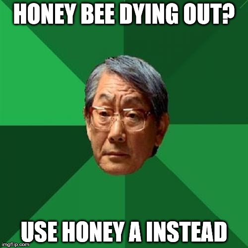 High Expectations Asian Father | HONEY BEE DYING OUT? USE HONEY A INSTEAD | image tagged in memes,high expectations asian father | made w/ Imgflip meme maker