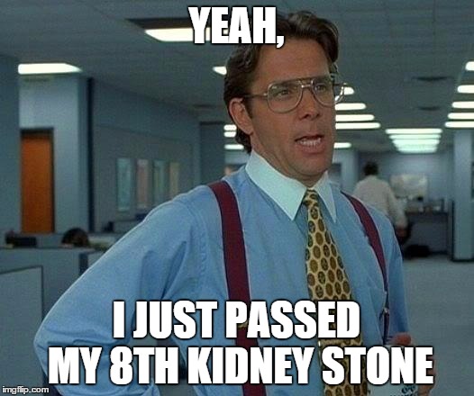 That Would Be Great | YEAH, I JUST PASSED MY 8TH KIDNEY STONE | image tagged in memes,that would be great | made w/ Imgflip meme maker