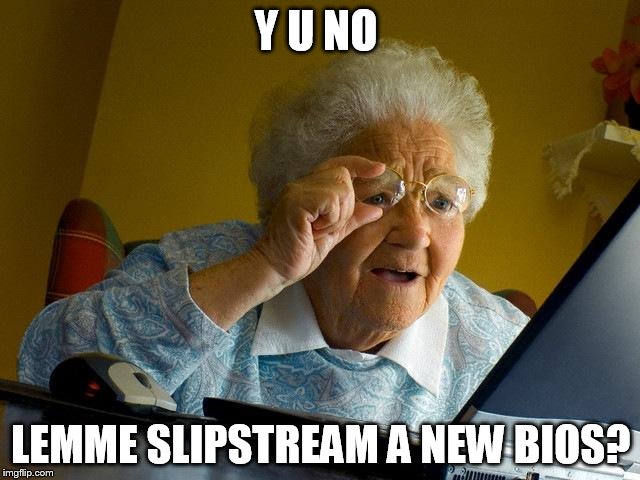 Grandma Finds The Internet | Y U NO LEMME SLIPSTREAM A NEW BIOS? | image tagged in memes,grandma finds the internet | made w/ Imgflip meme maker