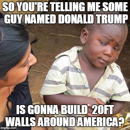 Third World Skeptical Kid Meme | SO YOU'RE TELLING ME SOME GUY NAMED DONALD TRUMP IS GONNA BUILD  20FT WALLS AROUND AMERICA? | image tagged in memes,third world skeptical kid | made w/ Imgflip meme maker