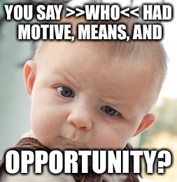 Skeptical Baby | YOU SAY >>WHO<< HAD MOTIVE, MEANS, AND OPPORTUNITY? | image tagged in memes,skeptical baby | made w/ Imgflip meme maker