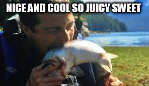 nice and cool so juicy sweet | NICE AND COOL SO JUICY SWEET | image tagged in bear grylls,memes,funny,the lord of the rings | made w/ Imgflip meme maker