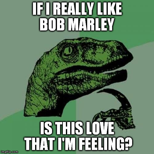 Philosoraptor Meme | IF I REALLY LIKE BOB MARLEY IS THIS LOVE THAT I'M FEELING? | image tagged in memes,philosoraptor | made w/ Imgflip meme maker