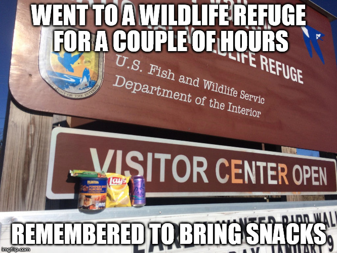 Wildlife refuge with snacks | WENT TO A WILDLIFE REFUGE FOR A COUPLE OF HOURS REMEMBERED TO BRING SNACKS | image tagged in yallqueda,bundy,oregon,snacks | made w/ Imgflip meme maker