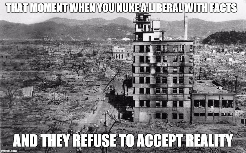 Nuked. Did not Collapse. | THAT MOMENT WHEN YOU NUKE A LIBERAL WITH FACTS AND THEY REFUSE TO ACCEPT REALITY | image tagged in nuked did not collapse | made w/ Imgflip meme maker