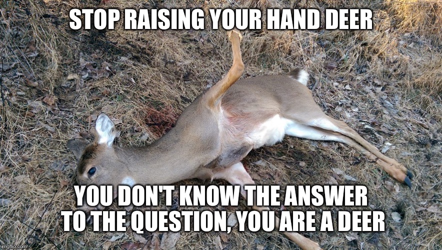 STOP RAISING YOUR HAND DEER YOU DON'T KNOW THE ANSWER TO THE QUESTION, YOU ARE A DEER | image tagged in stupid deer | made w/ Imgflip meme maker